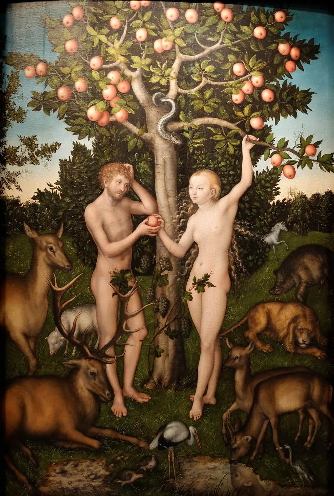 Adam and Eve, Lucas Cranach the Elder