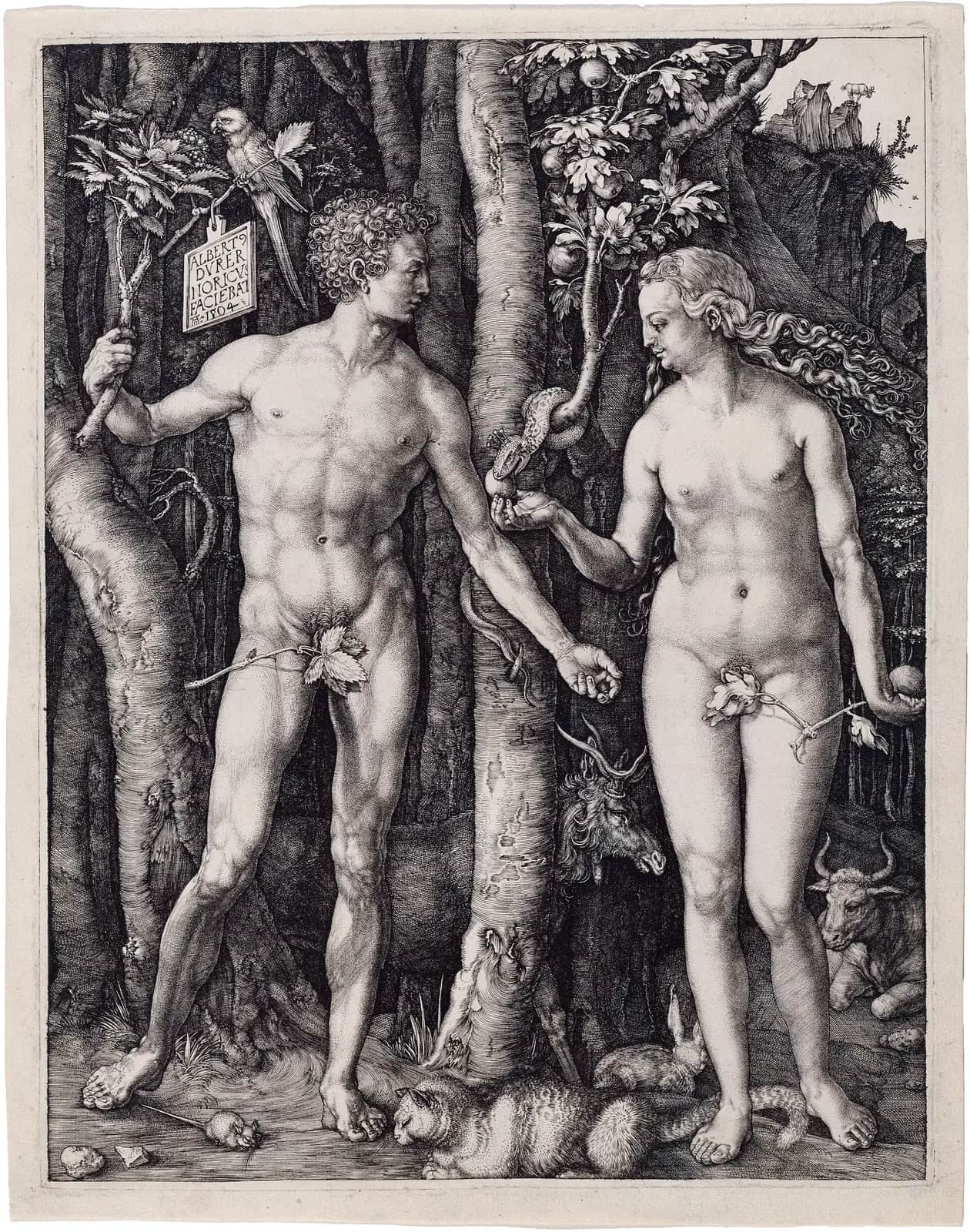 Adam and Eve, Albrecht Dürer